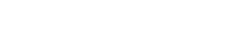 AudioCodes Platinum Partner